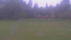 Areál ski klubu
