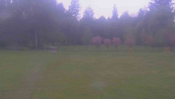 Areál ski klubu
