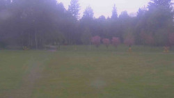 Areál ski klubu
