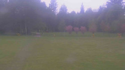 Areál ski klubu