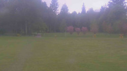 Areál ski klubu