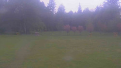 Areál ski klubu