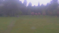Areál ski klubu