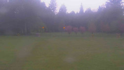 Areál ski klubu