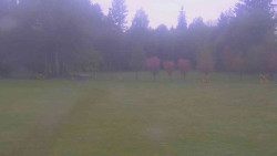 Areál ski klubu