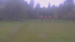 Areál ski klubu