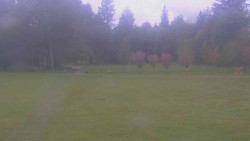 Areál ski klubu