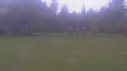 Areál ski klubu