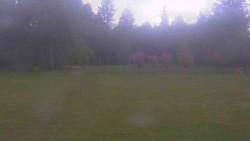 Areál ski klubu