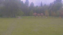 Areál ski klubu
