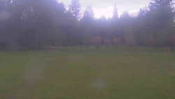 Areál ski klubu