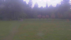 Areál ski klubu