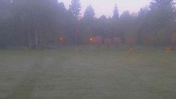 Areál ski klubu