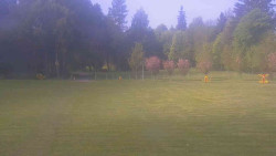Areál ski klubu