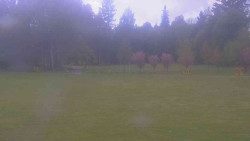 Areál ski klubu