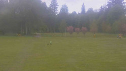 Areál ski klubu