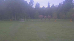 Areál ski klubu
