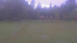Areál ski klubu