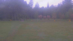 Areál ski klubu