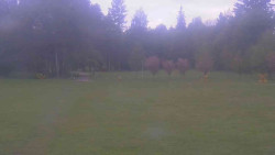 Areál ski klubu