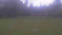 Areál ski klubu
