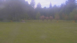 Areál ski klubu