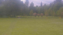 Areál ski klubu