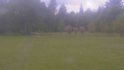 Areál ski klubu