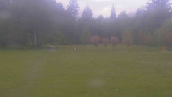 Areál ski klubu