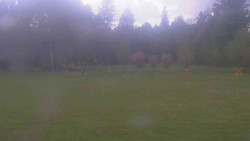Areál ski klubu