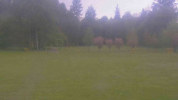 Areál ski klubu