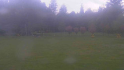 Areál ski klubu