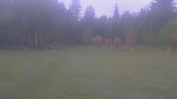 Areál ski klubu