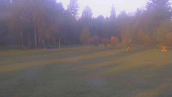 Areál ski klubu