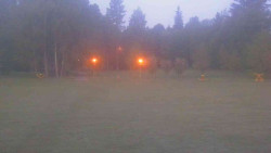 Areál ski klubu