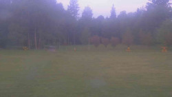 Areál ski klubu