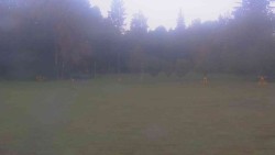 Ski club premises