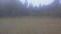 Ski club premises