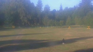 Ski-Club RD Rýmařov - Vereinsheim des Skiclubs - 15.8.2026 v 07:00 Ski-Club RD Rýmařov - Vereinsheim des Skiclubs - 15.8.2026 v 07:00