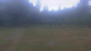 Ski klub RD Rýmařov - Areál ski klubu - 18.8.2026 v 07:00 Ski klub RD Rýmařov - Areál ski klubu - 18.8.2026 v 07:00