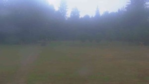 Ski klub RD Rýmařov - Areál ski klubu - 18.8.2026 v 07:30 Ski klub RD Rýmařov - Areál ski klubu - 18.8.2026 v 07:30