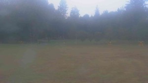 Ski klub RD Rýmařov - Areál ski klubu - 2.9.2026 v 06:30 Ski klub RD Rýmařov - Areál ski klubu - 2.9.2026 v 06:30