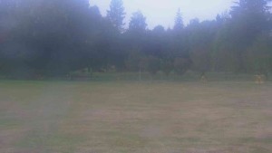 Ski klub RD Rýmařov - Areál ski klubu - 27.9.2026 v 09:30 Ski klub RD Rýmařov - Areál ski klubu - 27.9.2026 v 09:30