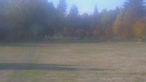 Ski klub RD Rýmařov - Areál ski klubu - 21.10.2026 v 09:30 Ski klub RD Rýmařov - Areál ski klubu - 21.10.2026 v 09:30
