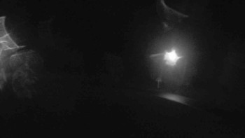 Snímek    27.10.2025 v 21:00