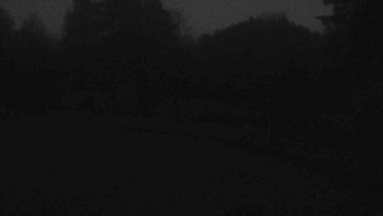 Snímek    4.11.2025 v 06:00