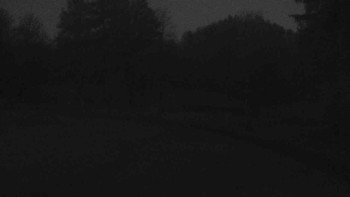 Snímek 6.11.2025 v 06:00