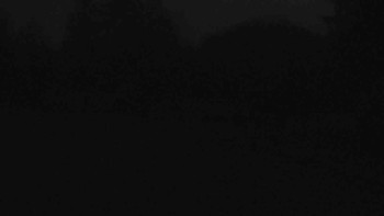 Snímek 7.11.2025 v 06:00