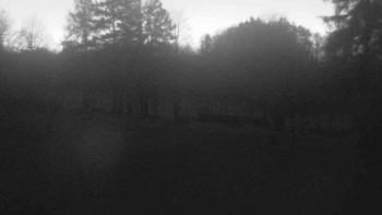 Snímek 7.11.2025 v 17:00