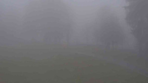 Ski klub RD Rýmařov - Areál ski klubu - 15.11.2025 v 09:00 Ski klub RD Rýmařov - Areál ski klubu - 15.11.2025 v 09:00